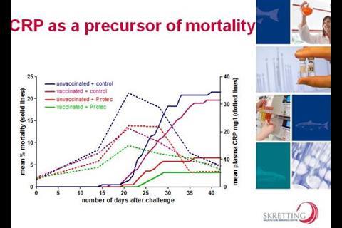 A graph showing a pancreas disease (PD) trial in Norway